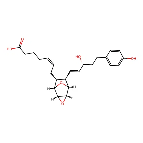 Ehhpoh structure