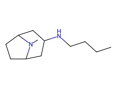 N-butyl-8-methyl-8-azabicyclo[3.2.1]octan-3-amine structure