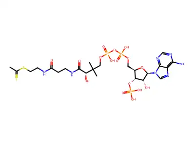 Acetyldithio-coenzyme A structure