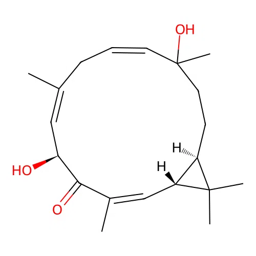Agroskerin structure