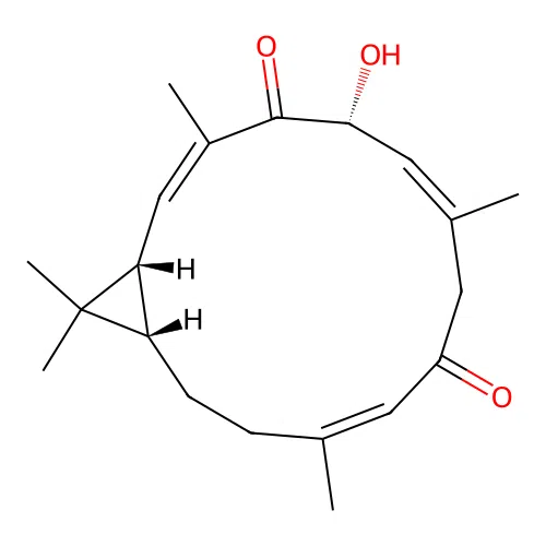 14-Dehydroagrostistachin structure