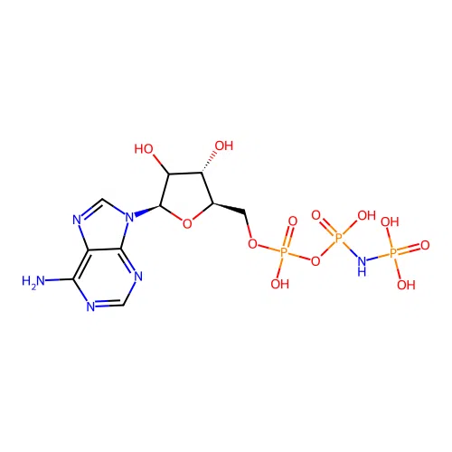 Phosphoaminophosphonic Acid-Adenylate Ester structure