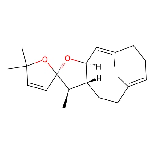 Asperketal B structure
