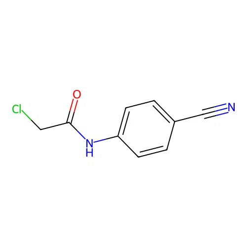 2-chloro-N-(4-cyanophenyl)acetamide structure
