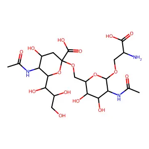 STn Epitope structure