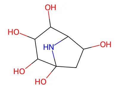 8-Azabicyclo[3.2.1]octane-1,2,3,4,6-pentol structure