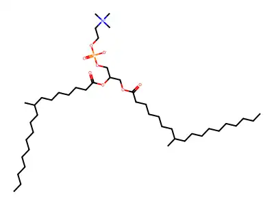 Di-(8-methylstearoyl)phosphatidylcholine structure