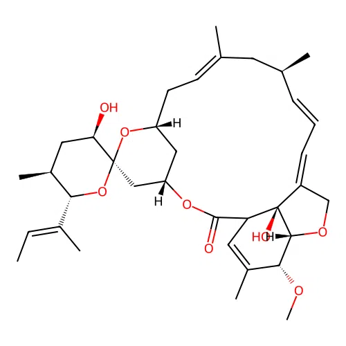 VM 44864 structure