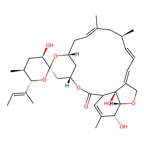 VM 44866 structure