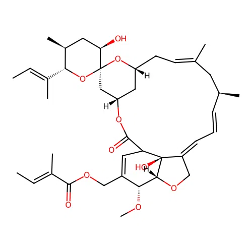 VM 44865 structure