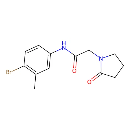 N-(4-bromo-3-methylphenyl)-2-(2-oxopyrrolidin-1-yl)acetamide structure