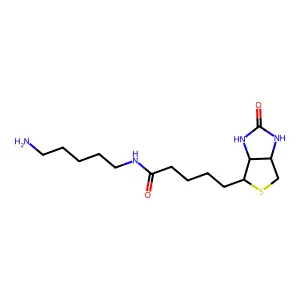 5-(Biotinamido)pentylamine structure