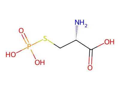 S-Phosphono-L-cysteine structure