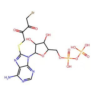 8-((4-Bromo-2,3-dioxobutyryl)thio)adenosine 5'diphosphate structure