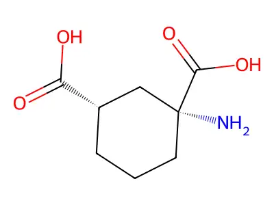 Cycloglutamate structure