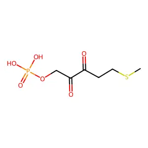 5-(Methylsulfanyl)-2,3-dioxopentyl phosphate structure