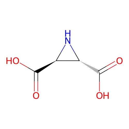 2,3-Dicarboxyaziridine structure