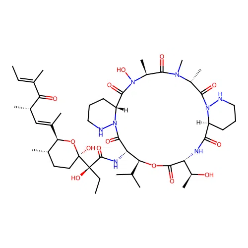 A 83586C structure