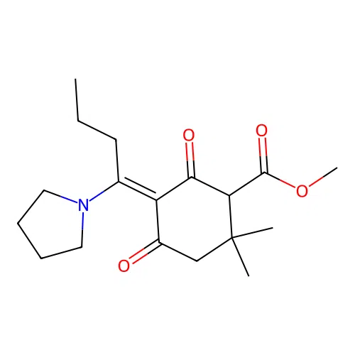Methyl 6,6-dimethyl-2,4-dioxo-3-(pyrrolidinylbutylidene)cyclohexanecarboxylate structure