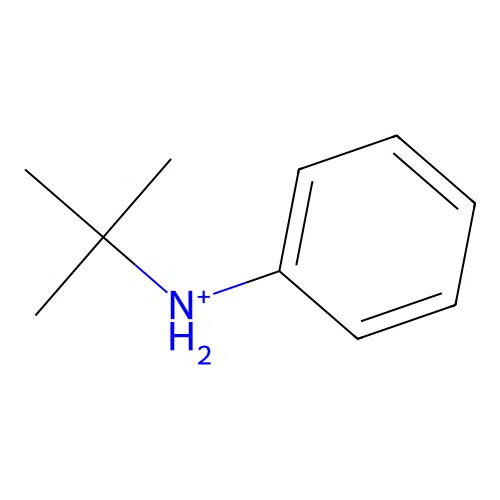 N-tert-Butylanilinium structure