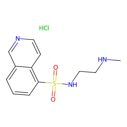 N-(2-(Methylamino)ethyl)isoquinoline-5-sulfonamide hydrochloride structure