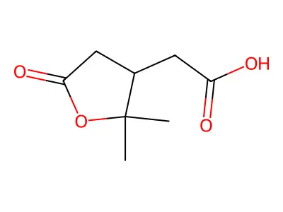 Terpenylic acid structure
