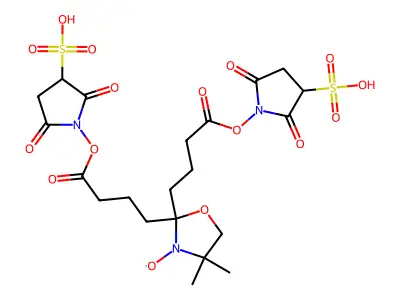 Bis(sulfo-N-succinimidyl) doxyl-2-spiro-5'-azelate structure