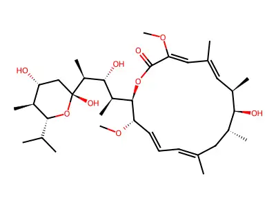 Bafilomycin A structure