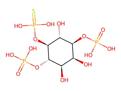 Inositol 1,4-bisphosphate 5-phosphorothioate structure