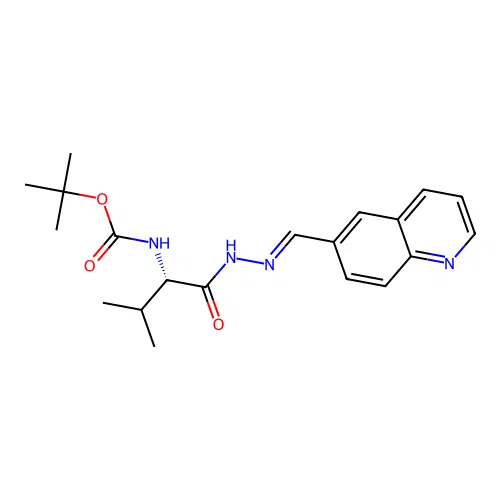C20H26N4O3 structure