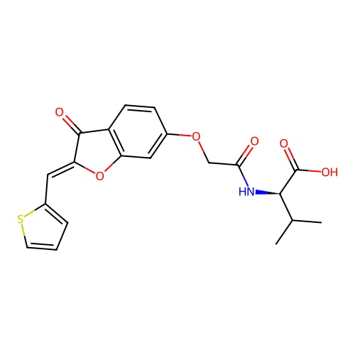 (2R)-3-methyl-2-[[2-[[(2Z)-3-oxo-2-(thiophen-2-ylmethylidene)-1-benzofuran-6-yl]oxy]acetyl]amino]butanoic acid structure