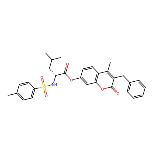 EiM07-19802 structure