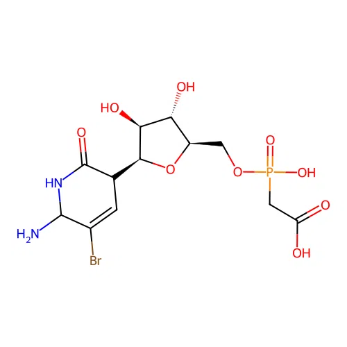 ((5-(6-Amino-5-bromo-2-oxo-1,2,3,6-tetrahydro-pyridin-3-yl)-3,4-dihydroxy-tetrahydro-furan-2-ylmethoxy)hydroxyphosphoryl)acetic acid structure
