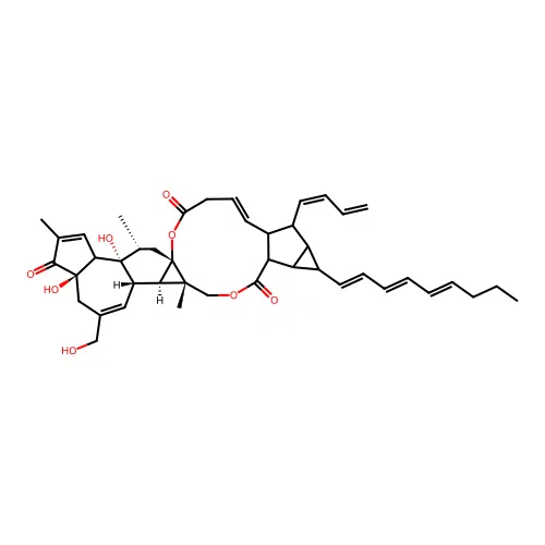 Ccris 3066 structure