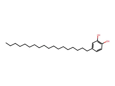 4-Octadecylbenzene-1,2-diol structure