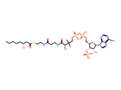 (3R)-3-hydroxyoctanoyl-CoA structure