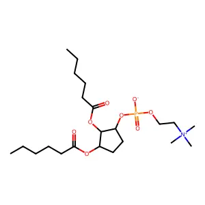 Dibenzo(b,e)(1,4)dioxin, tribromopentachloro- structure