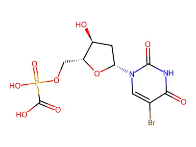 BUdR-PFA structure