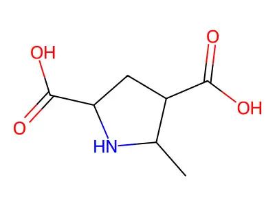 5-methylpyrrolidine-2,4-dicarboxylic Acid structure