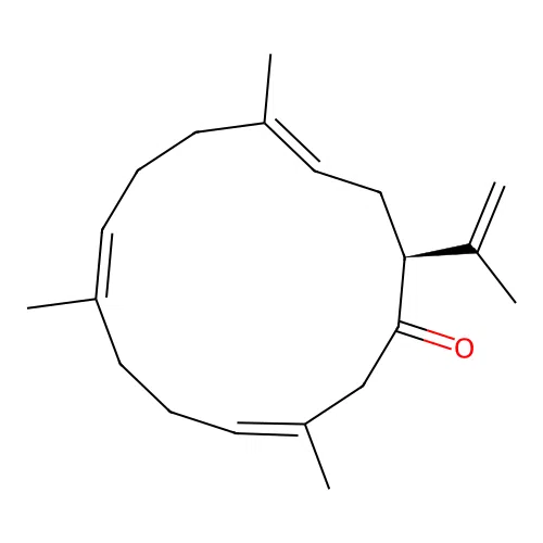 Sinularone A structure