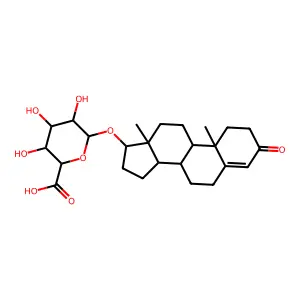 Testosterone glucuronide structure