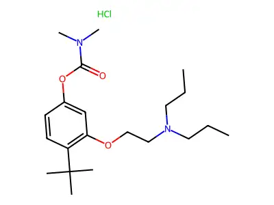 Dimethylcarbamic acid 4-(1,1-dimethylethyl)-3-(2-(dipropylamino)ethoxy)phenyl ester HCl structure