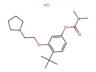 Dimethylcarbamic acid 4-(1,1-dimethylethyl)-3-(2-(1-pyrrolidinyl)ethoxy)phenyl ester HCl structure