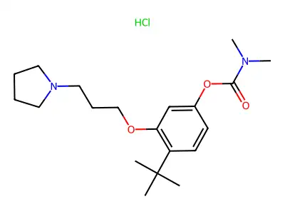 Carbamic acid, dimethyl-, 4-(1,1-dimethylethyl)-3-(3-(1-pyrrolidinyl)propoxy)phenyl ester, monohydrochloride structure