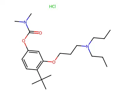 Carbamic acid, dimethyl-, 4-(1,1-dimethylethyl)-3-(3-(dipropylamino)propoxy)phenyl ester, monohydrochloride structure