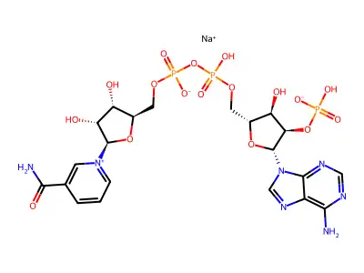 Codehydrase II structure