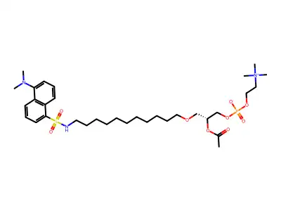 Dansyl-platelet activating factor structure