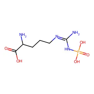 Phospho-L-arginine structure