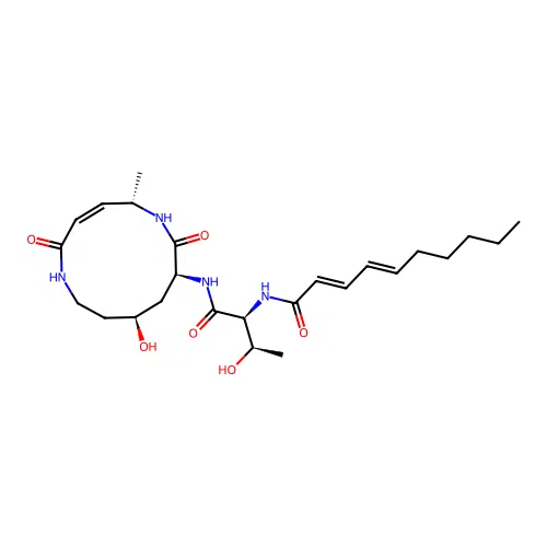 Glidobactin F structure