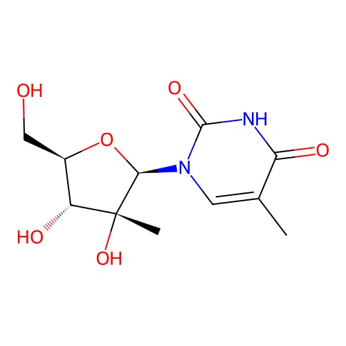 2'-c-methylthymidine structure